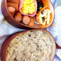 Snapdishの料理写真:十六穀米弁当|ともさん