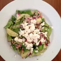 snap pea, cucumber and radish salad with feta|Kara L. DeDonatoさん