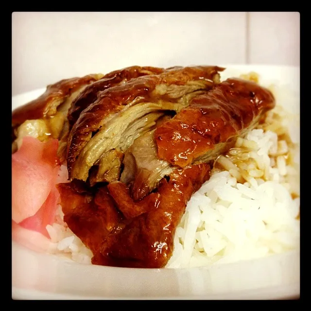 Snapdishの料理写真:roasted duck and rice|sanさん