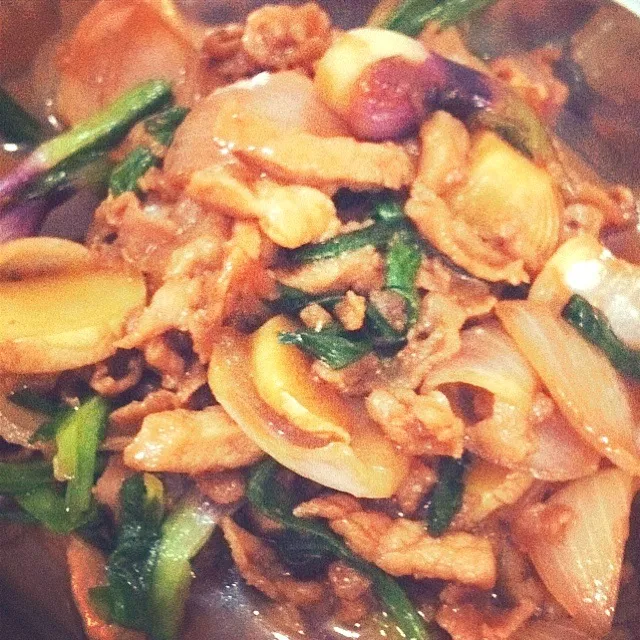 stir fry pork with ginger and onion|laumeikuanさん