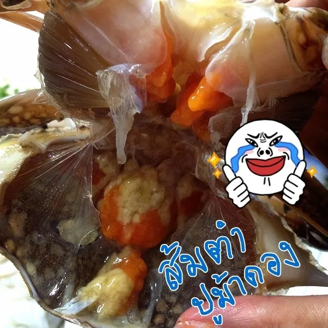 Snapdishの料理写真:👌ปูม้าดอง พร้อมยำ|nueng waraさん