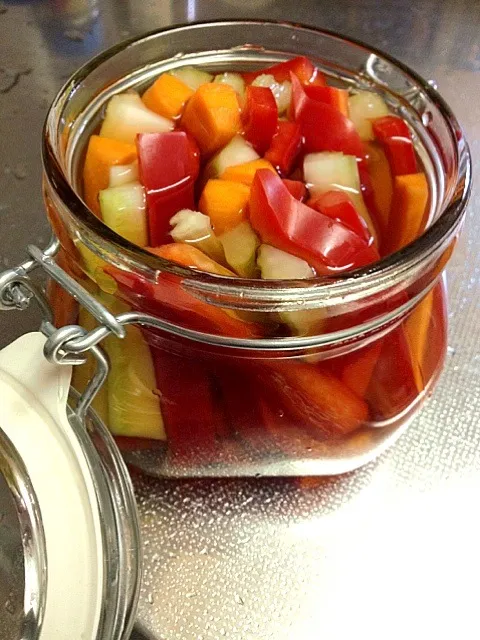 野菜のピクルス|dial110さん