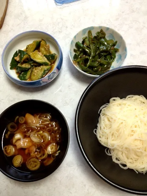 鶏のあつひや素麺|かまさん