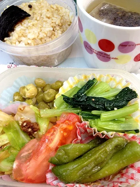 玄米とほぼ野菜の自分弁当|しーさん