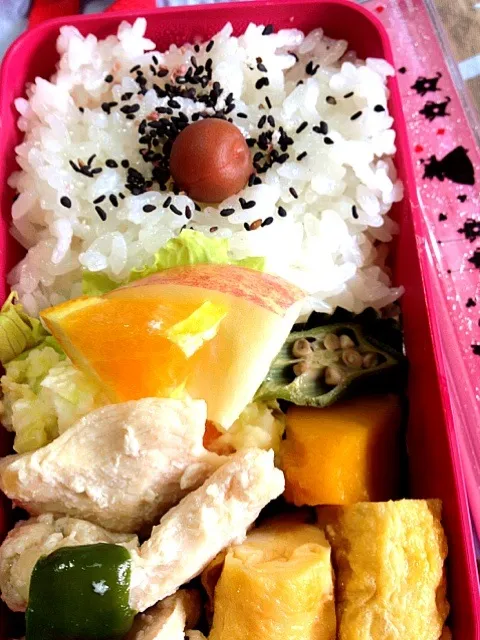 私のお弁当|まゆさんさん