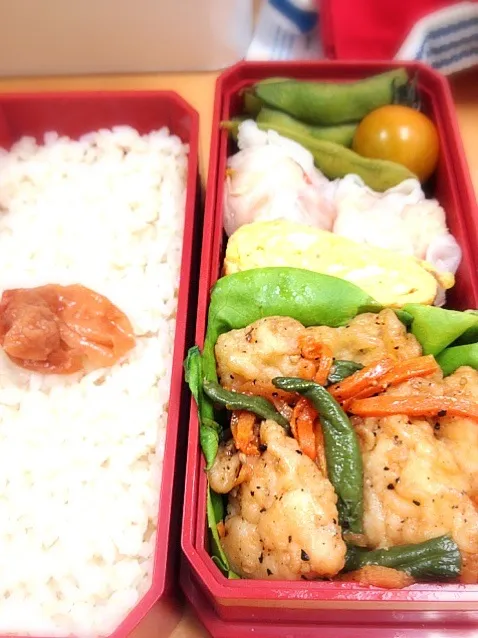 鳥肉と夏野菜の煮浸し弁当|カナうささん