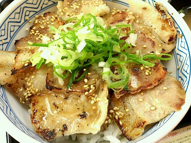 ねぎ塩豚丼|ツツカメさん