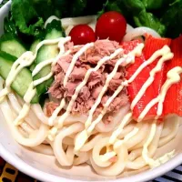 Snapdishの料理写真:サッパリサラダうどん|ゆっきーさん