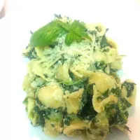 Orchiette con ricotta e spinaci|cristina pellegrinoさん