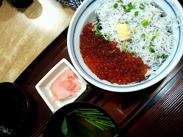 イクラしらす丼|jun itoさん