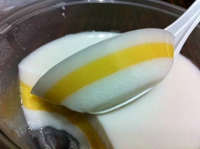 coconut and mango pudding|インインさん