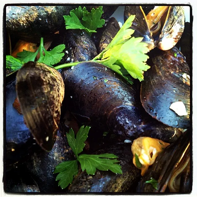 Snapdishの料理写真:mussels in white wine, garlic, and bacon|Jenn Bussellさん