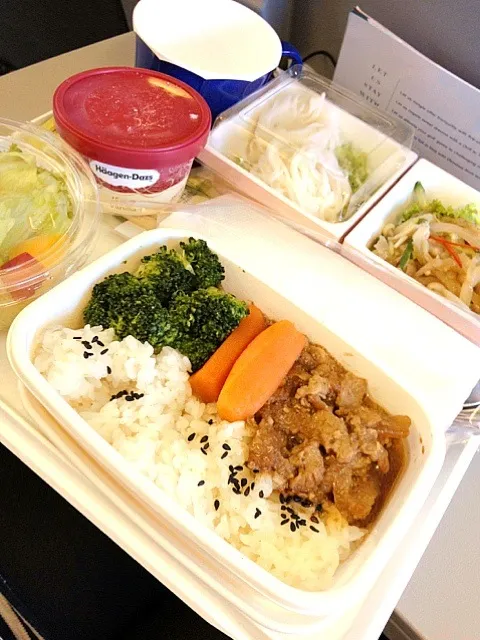 Snapdishの料理写真:機内食！|maechikaさん