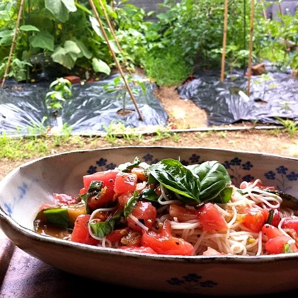 Snapdishの料理写真:～細口素麺カッペリーニ～|chihoさん