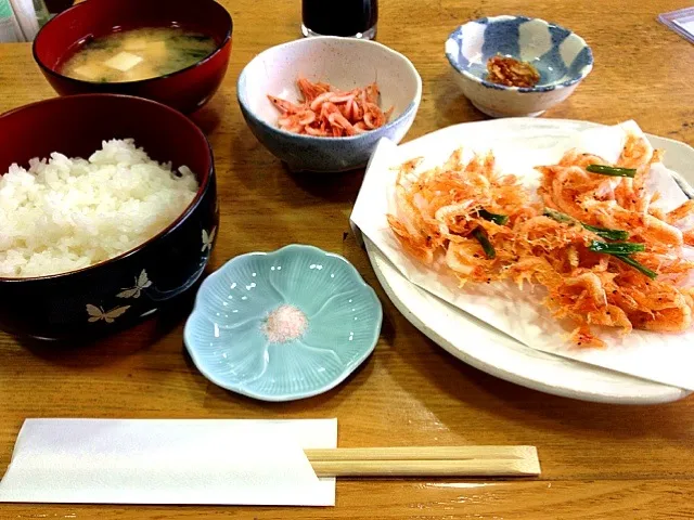 静岡由比 桜海老定食|縣 瀀さん