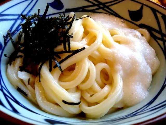 冷やしとろろうどん|tku🍅🍝🍜🍝🍜🍝🍅さん