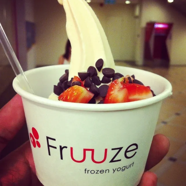 frozen yoghurt|Darren Loさん