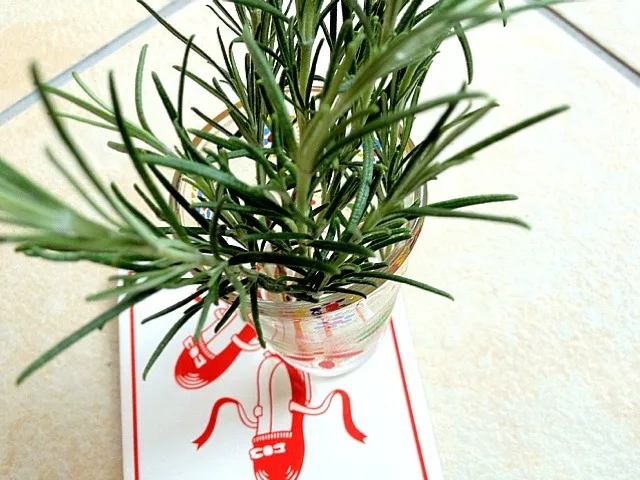 fresh rosemary, what should I make  with these?|松浦有里さん