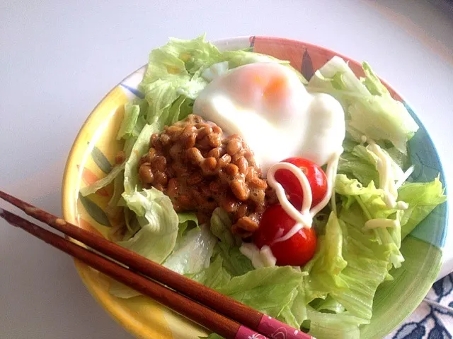 納豆そうめん|(=^x^=)さん