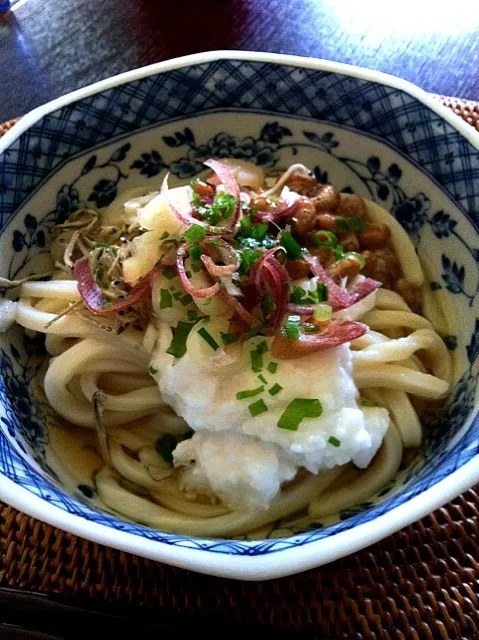 山芋と納豆とジャコのぶっかけうどん|かまらさん