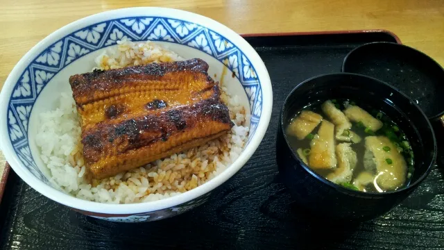 鰻丼|ていくはいどさん