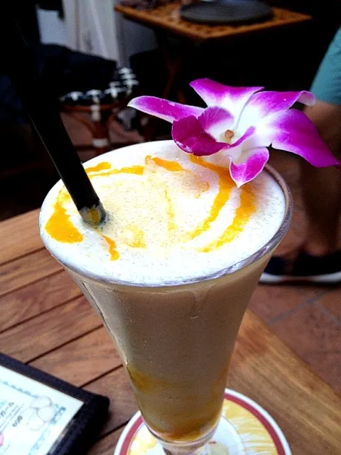 frozen mango cocktail|lauren shannonさん