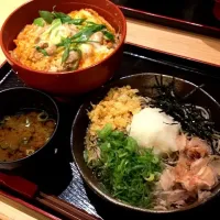 Snapdishの料理写真:親子丼|Yayoiさん