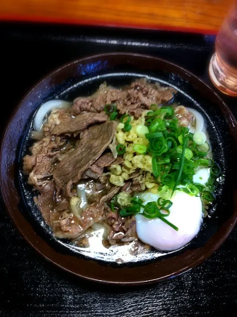 Snapdishの料理写真:肉ぶっかけうどん、温玉付き。しかも冷たいの！！|まりもさん