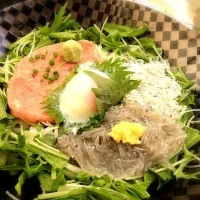 Snapdishの料理写真:生しらす×釜しらす×ねぎとろ|ヒロケンさん