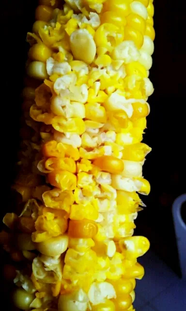 just sweet corn.|Ellison C.さん