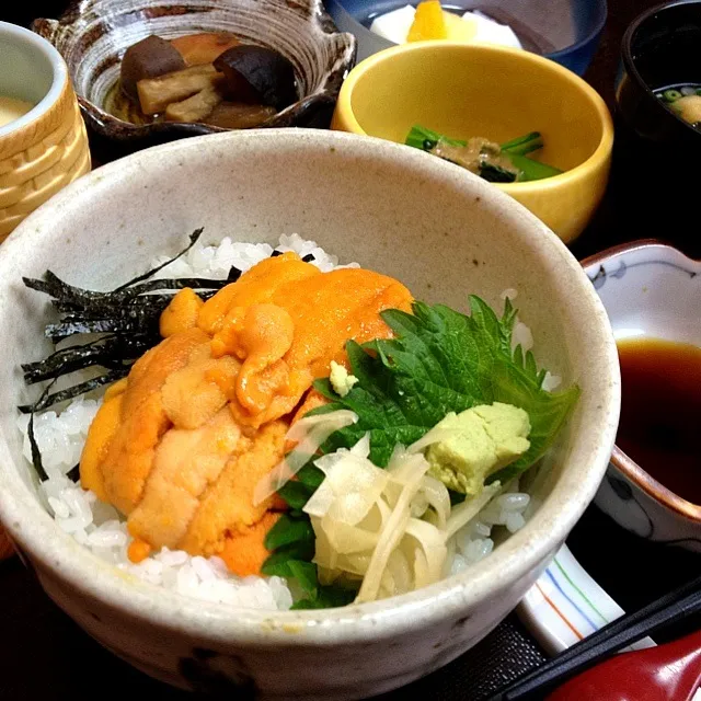 うに丼＊川瀬|mackoさん