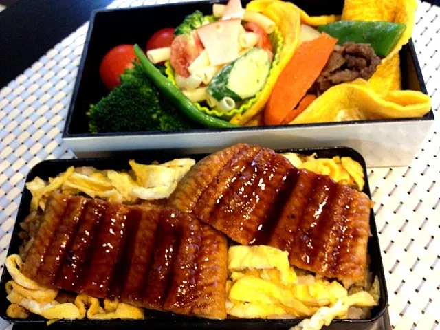 うなぎ弁当  肉じゃがのオムレツ包み、マカロニハムサラダ、野菜|zcさん