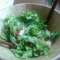 first fresh garden salad of year|Amandaさん