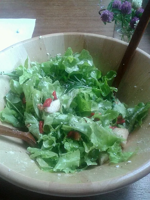 first fresh garden salad of year|Amandaさん