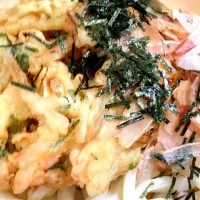 Snapdishの料理写真:ぶっかけうどん|Yasufumi Fujikawaさん