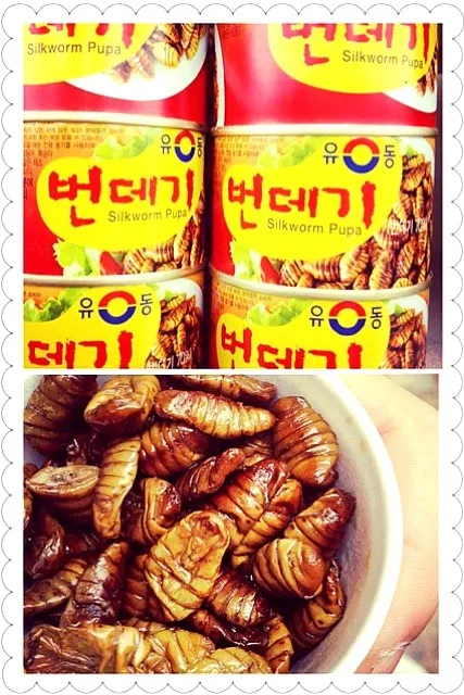 Snapdishの料理写真:I tried silkworm but I don't like it.|joyceさん