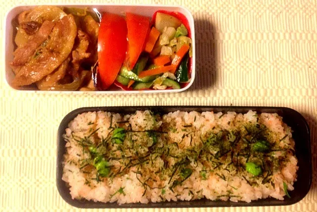 Snapdishの料理写真:夏の爽やか枝豆ご飯弁当|Cabezon.Nakamuraさん