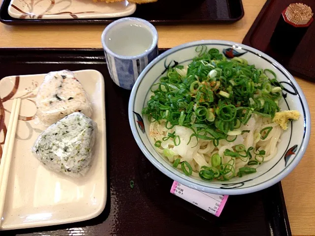 おろし醤油うどん|すかラインさん