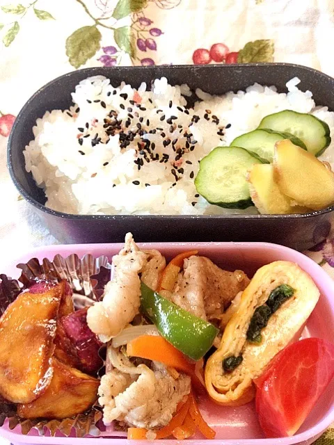 Snapdishの料理写真:娘のOL弁当|まゆさんさん