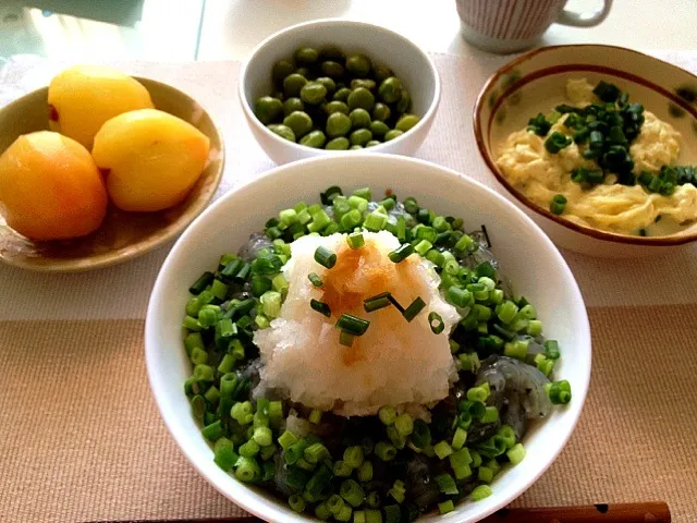 生しらす丼、手作り豆腐、えんどう豆、すもも|ひろみさん