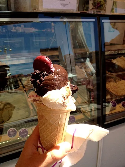 Snapdishの料理写真:macaron and deep dark chocolate ice cream|lee ramsayさん