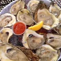 raw oysters|kristen gonsiorさん