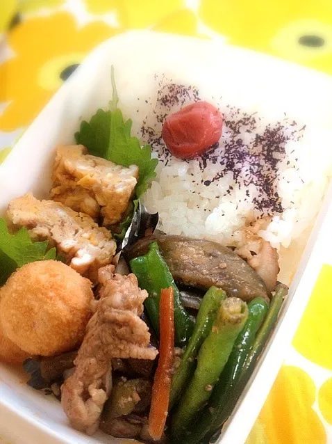 茄子味噌炒め弁当|いりごまさん