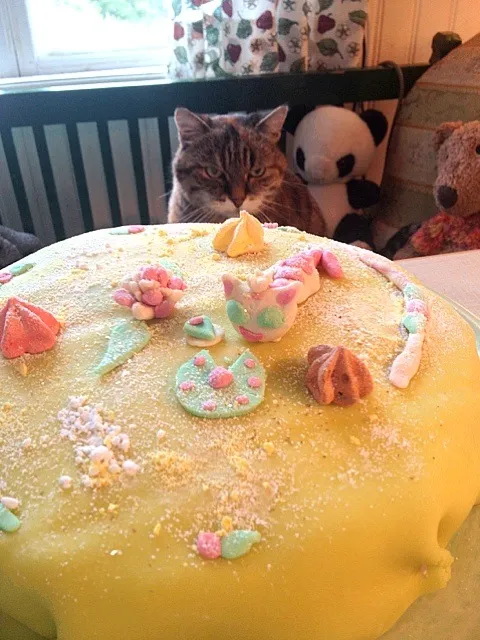 Birthday cake for a 19 year old cat.|wallさん