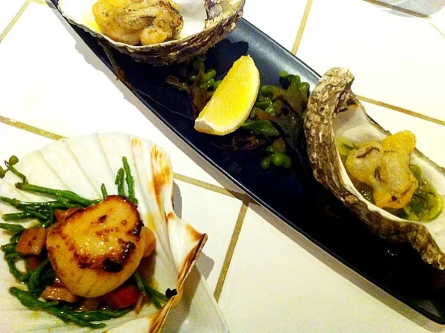 Snapdishの料理写真:tempura oysters & seared scallop with samphire|michael nassarさん