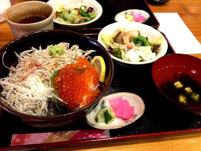 Snapdishの料理写真:鹿児島 凪 しらす・いくら丼|chimaさん