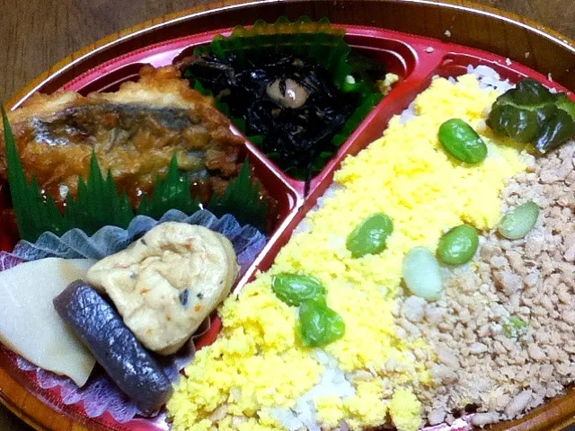 そぼろ二色弁当|kuniofujiiさん