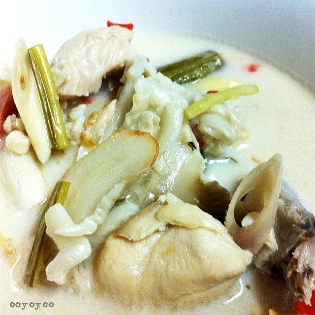 Chicken in coconut milk and galangal|OoHさん