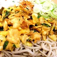 Snapdishの料理写真:野菜ばら天蕎麦|Yasufumi Fujikawaさん