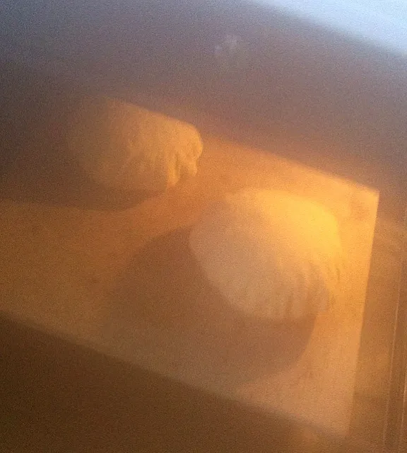 Baking Pita Bread レンズに蒸気かかっちゃった(￣▽￣)|mamakumiさん